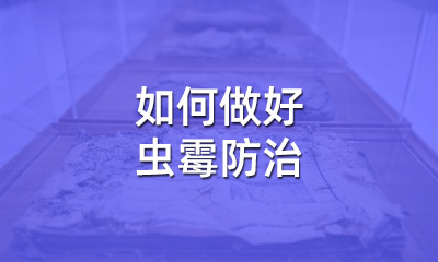 檔案修復(fù)后，如何做好蟲霉防治